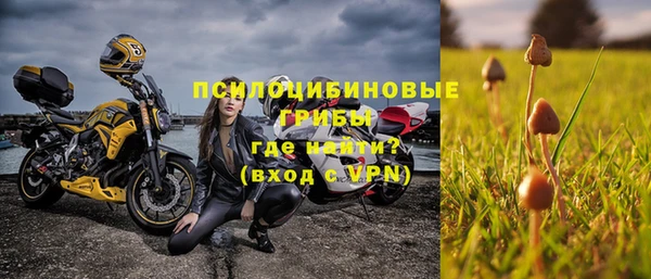 ПСИЛОЦИБИНОВЫЕ ГРИБЫ Абдулино